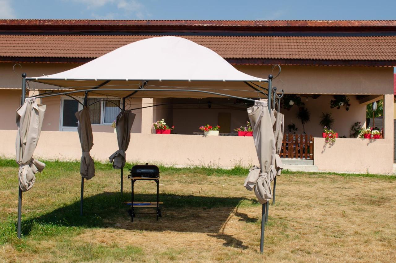 Pensiunea Aly Bumbesti Pitic Exterior photo