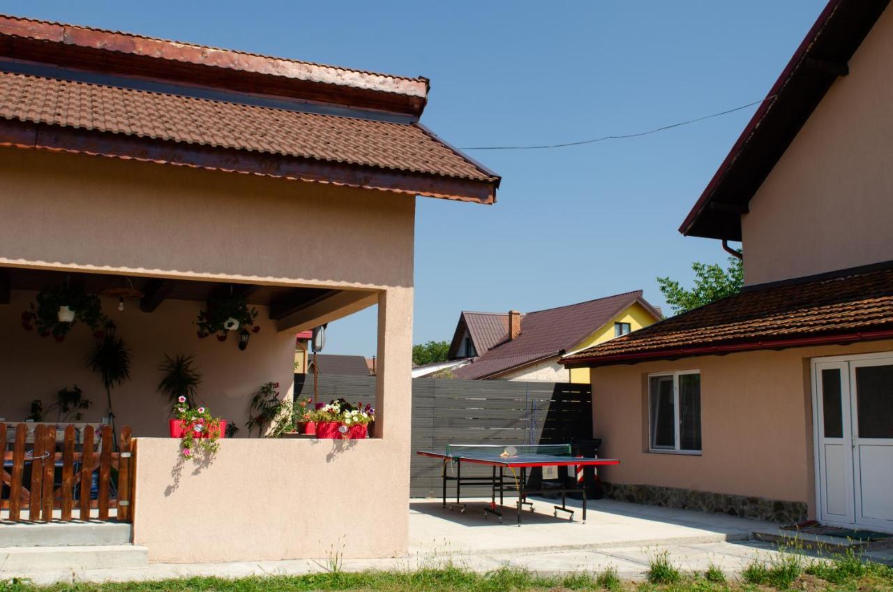 Pensiunea Aly Bumbesti Pitic Exterior photo
